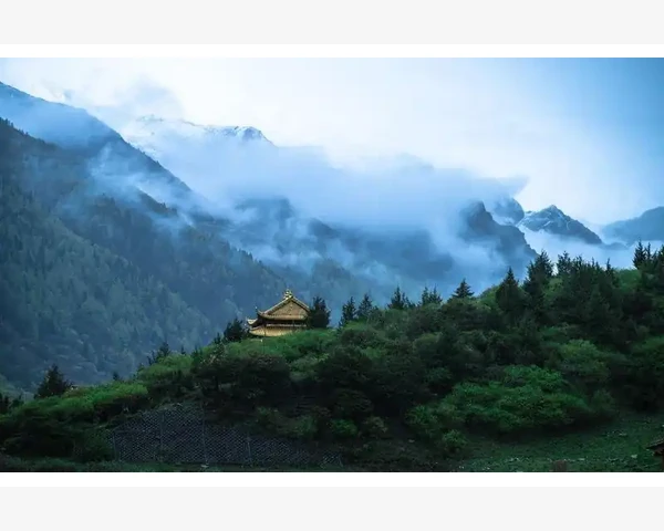 产后补血补气，喝什么茶最合适？